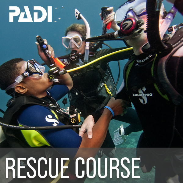 Rescue diver