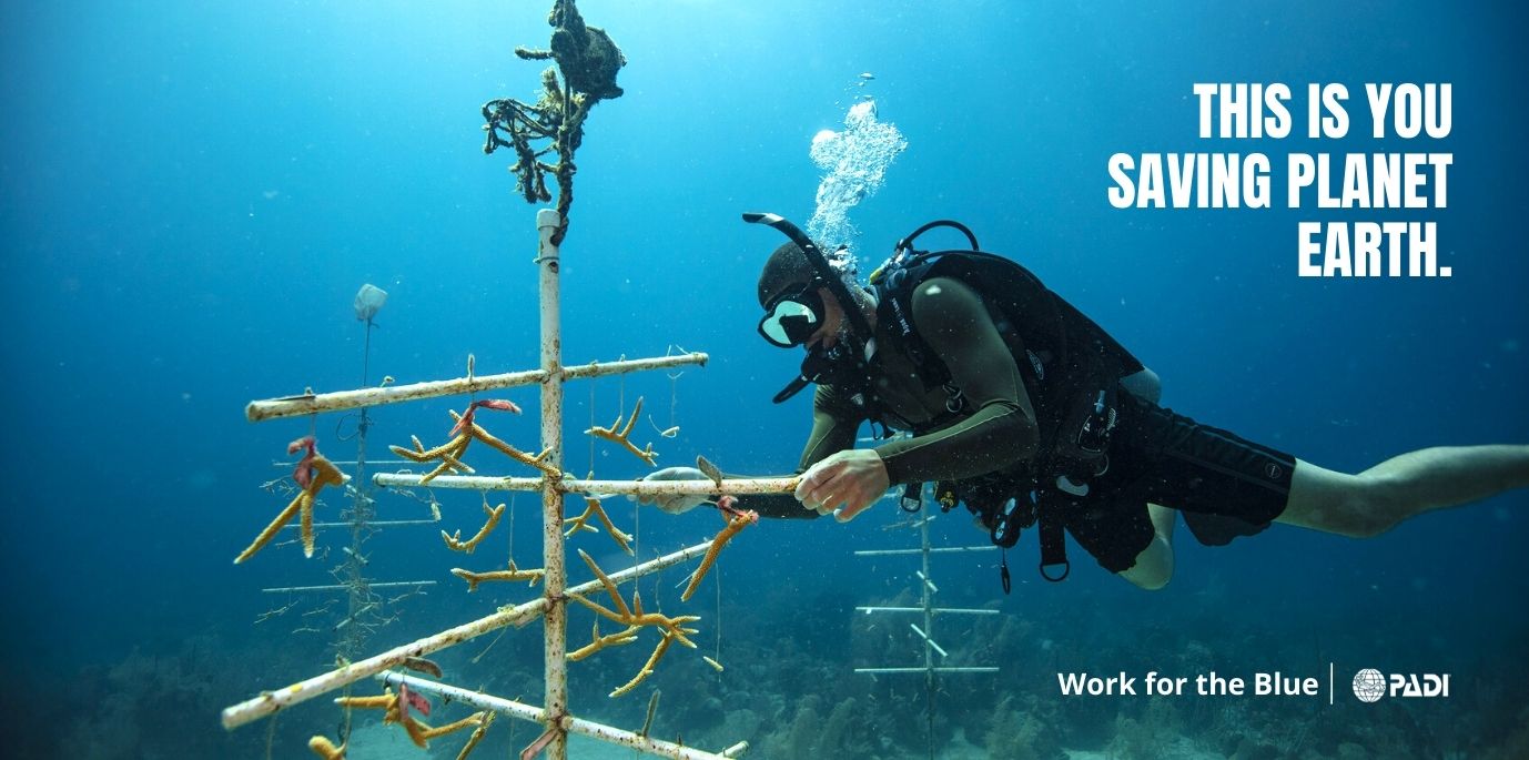 This is you saving the planet