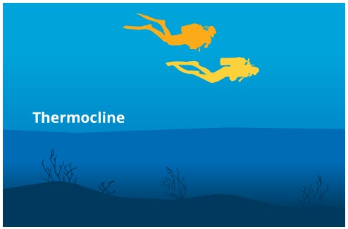 Besides season, depth may affect temperature. In most environments, water gets colder as you go deeper. Water tends to form distinct layers based on temperature. The boundary between a warmer upper layer and a cooler deeper layer is called a thermocline. In still water, like a lake or quarry, it is so distinct that you can stick your hand into noticeably cooler water below while swimming in warmer water. Besides season, depth may affect temperature. In most environments, water gets colder as you go deeper. Water tends to form distinct layers based on temperature. The boundary between a warmer upper layer and a cooler deeper layer is called a thermocline. In still water, like a lake or quarry, it is so distinct that you can stick your hand into noticeably cooler water below while swimming in warmer water.