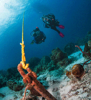 Search and recovery