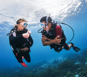 cold diver cold diver