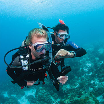 divers using a computer