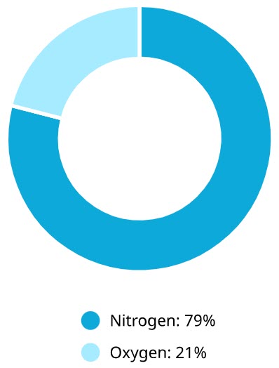 nitrogen vs Oxygen
