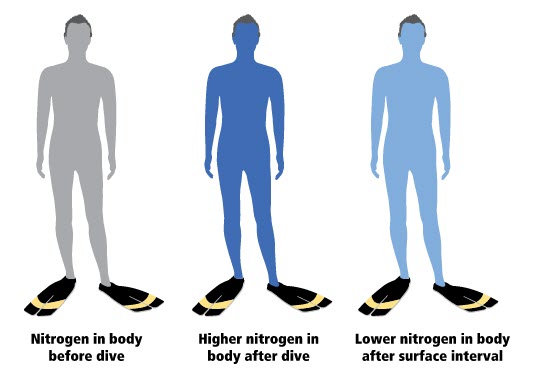 surface intervals surface intervals