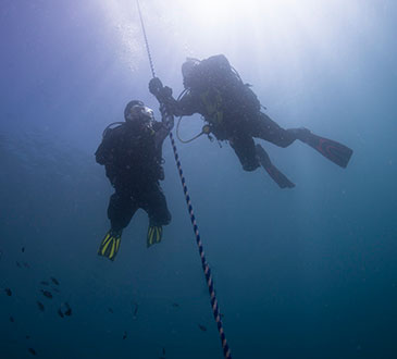 visiability diver viz