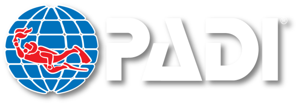 PADi Logo