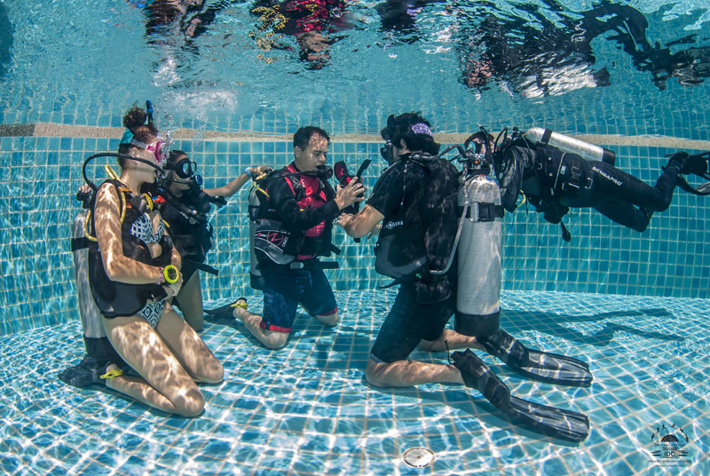 Learn to scuba dive