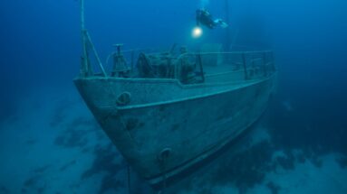 Artificial Reefs of Vancouver Island