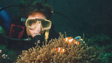 diving with a clown fish