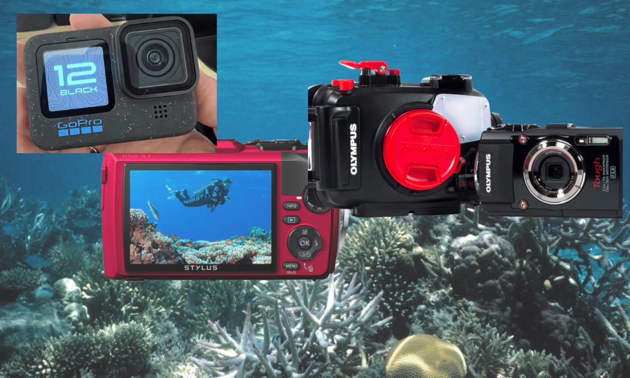 Black Brown Modern Bold Crossfit Motivation Sports Photo Collage compact underwater cameras