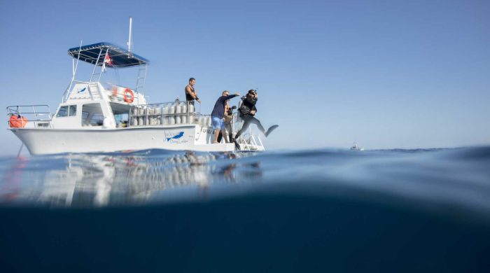 Diving from a boat