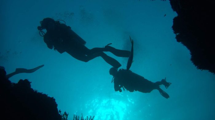 Diving in the Canyons in Belize