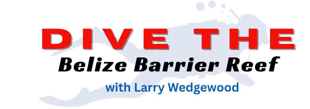 Dive Belize