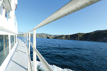 boat rail