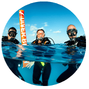 Small dive group experience