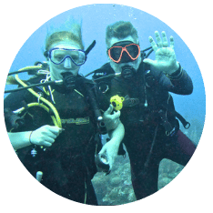 Dive Mentorship