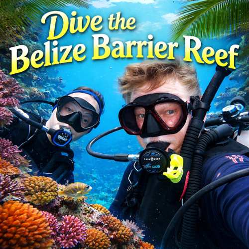 Dive the Belize Barrier Reef