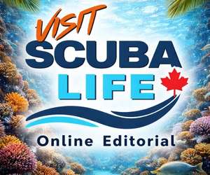 Visit Scuba Life