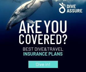 Dive Assure Insurance