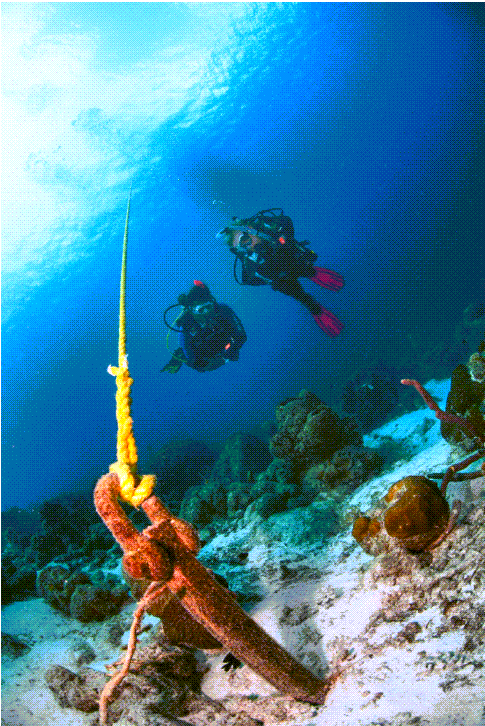 Diver anchor line