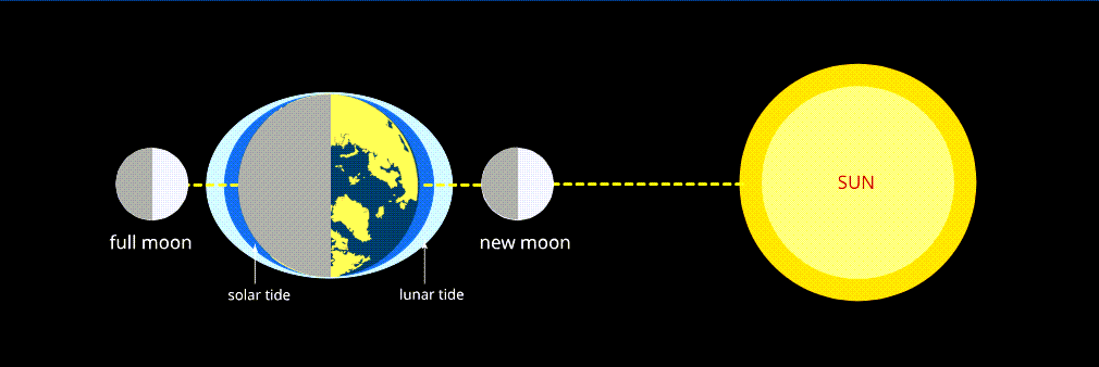 Sun moon tides