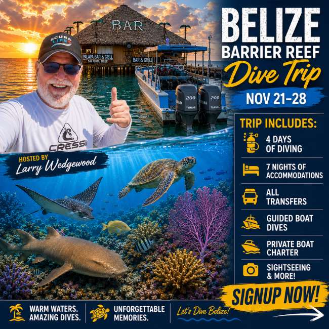 Belize Barrier Reef Dive Trip