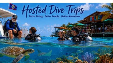Hosted dive trips